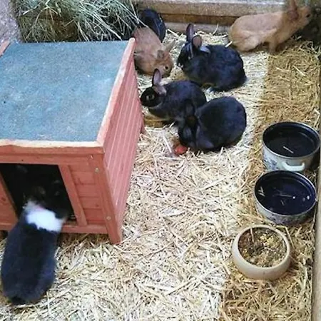 Apartamento Killinger *